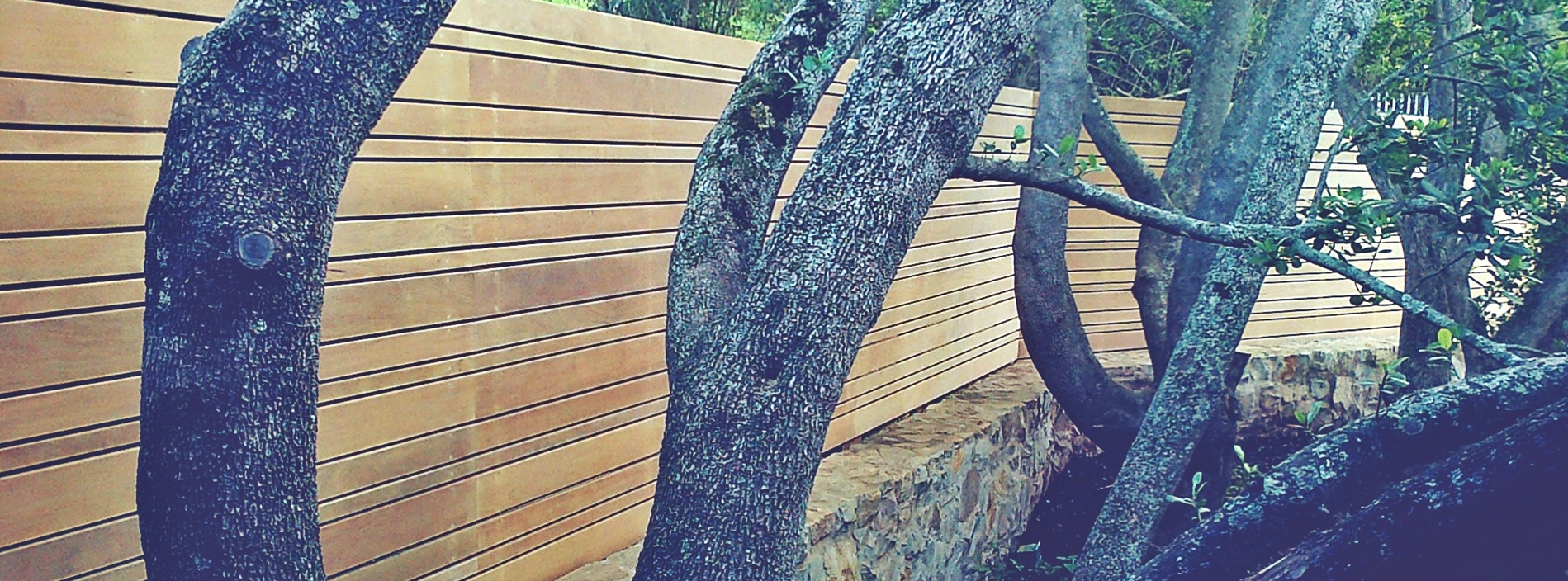 surgey boundary wall